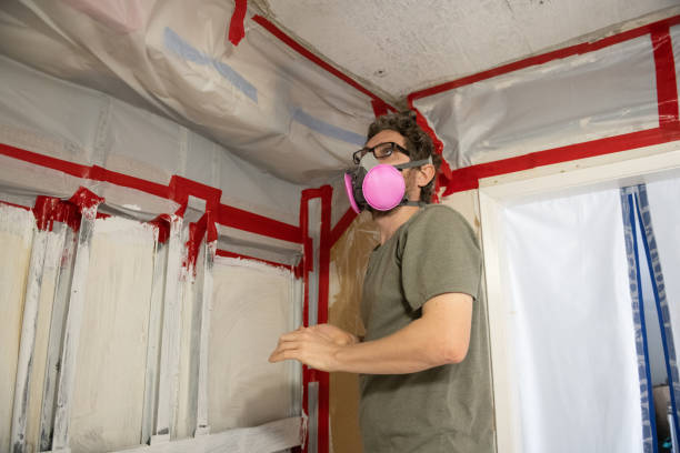 Best Crawl Space Mold Remediation  in Seacliff, CA