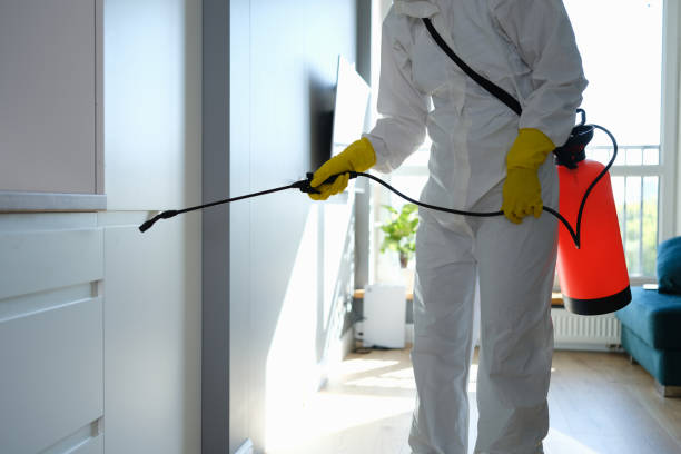 Best Residential Mold Inspection & Testing  in Seacliff, CA